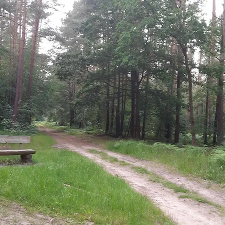 Auf Dem Hufen * Ribnitz-Damgarten