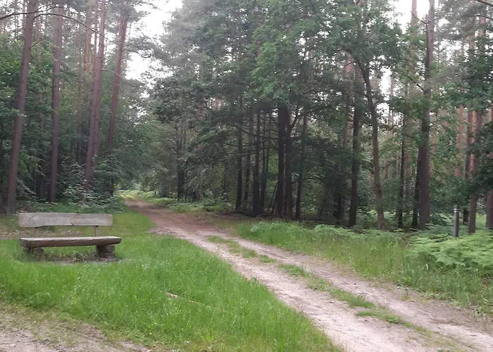 Auf Dem Hufen * Ribnitz-Damgarten